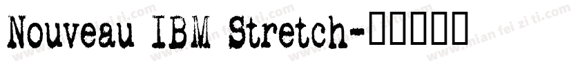 Nouveau IBM Stretch字体转换